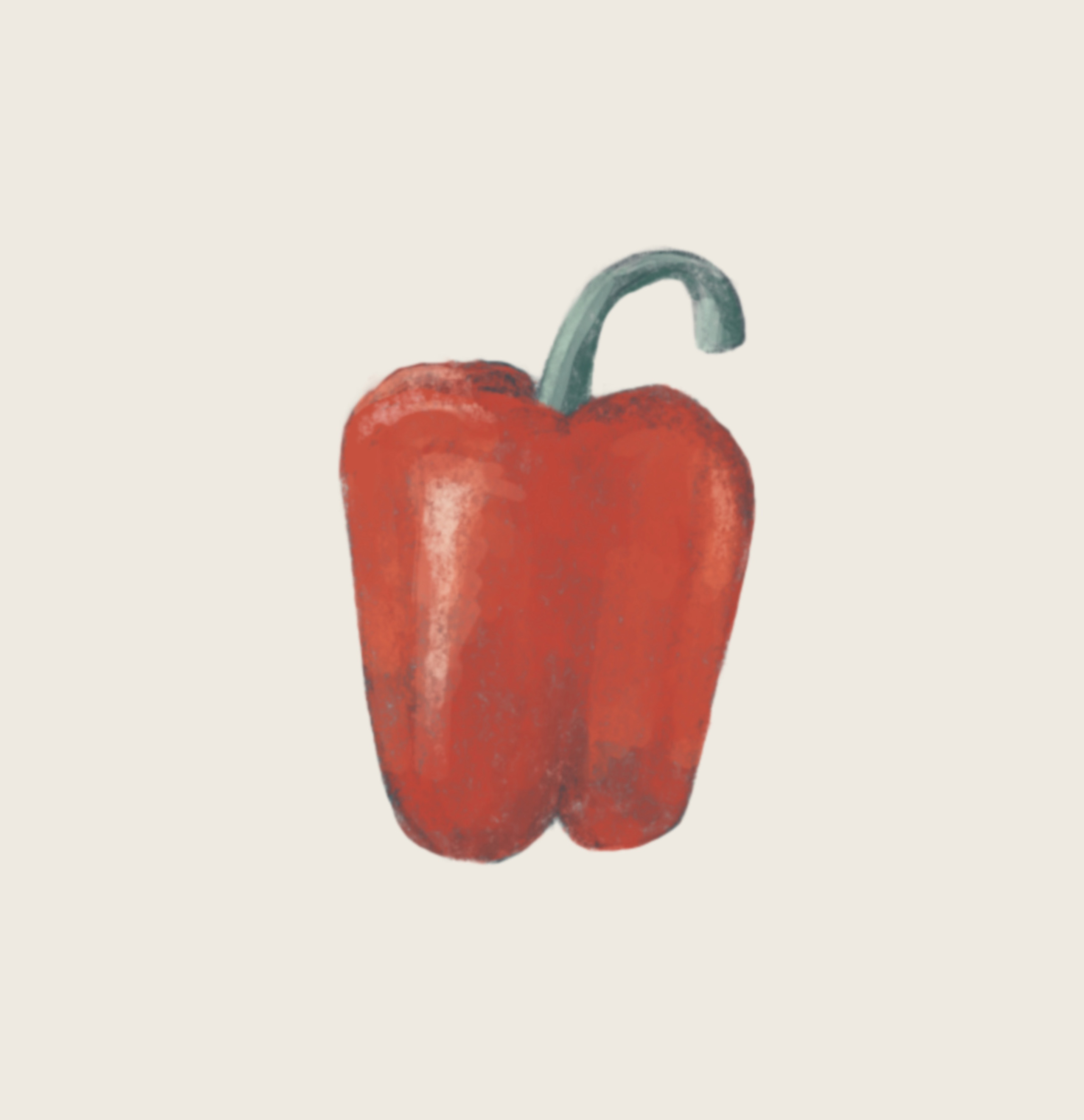 Illustration of a capsicum
